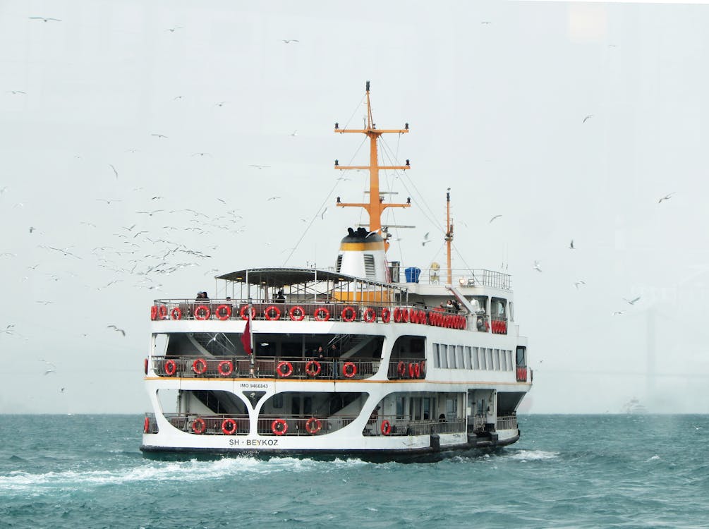 Image1